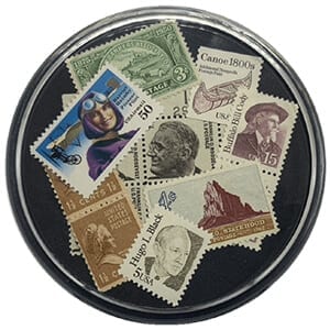 Collectible Display Case