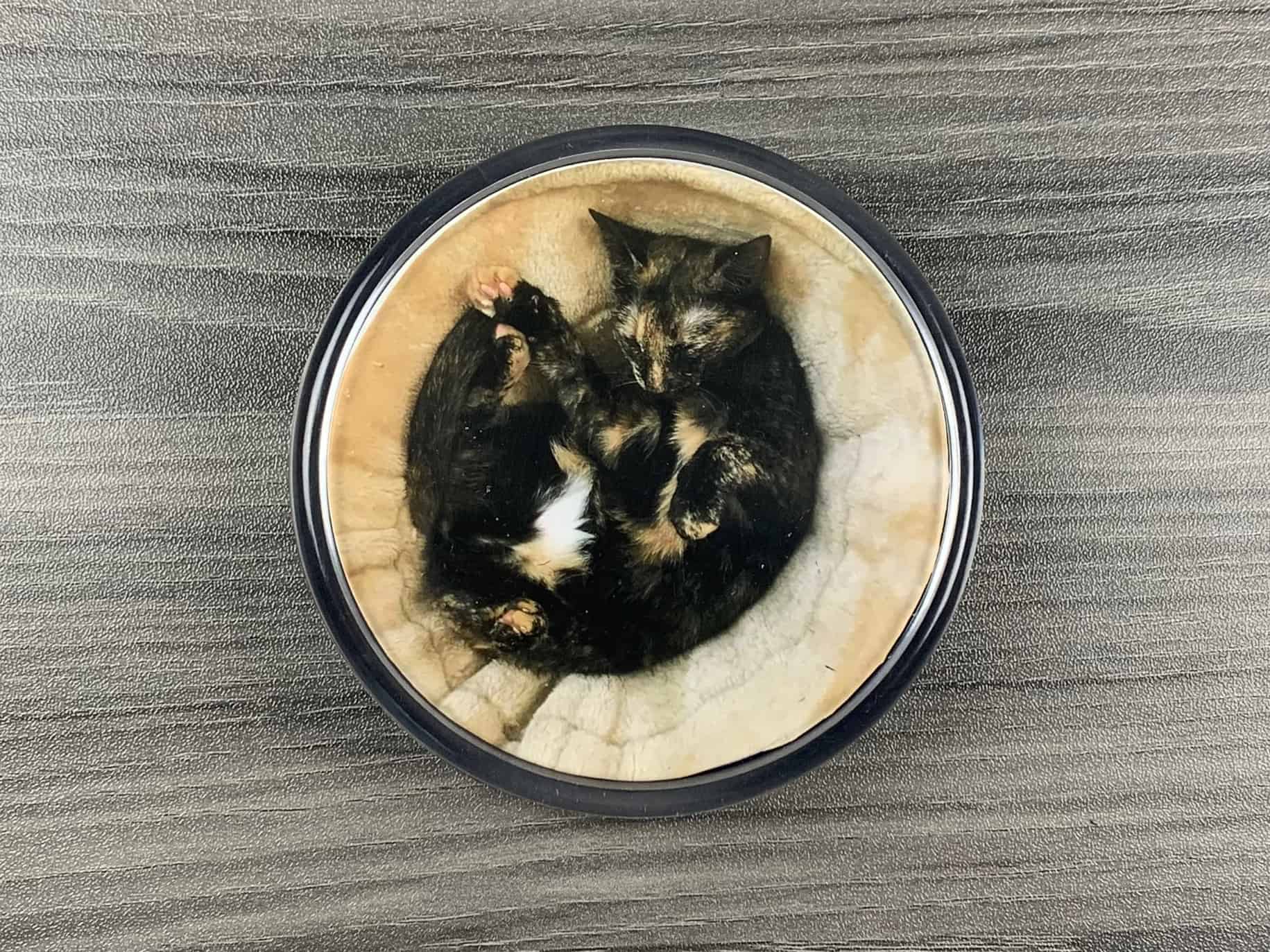 DIY Photo Coaster DIY Coasters with Waterproof Pictures